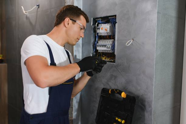 Best Home Electrical Repair  in Richton Park, IL