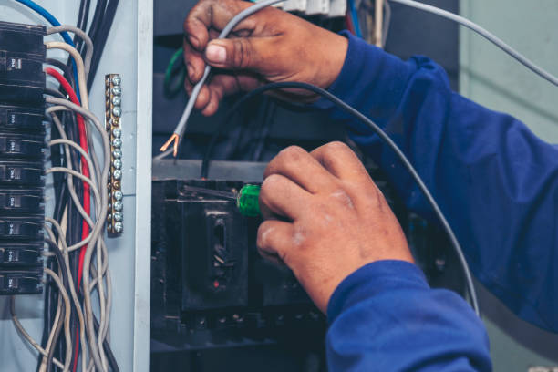 Best Generator Installation Services  in Richton Park, IL