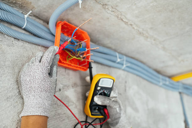 Best Electric Panel Repair  in Richton Park, IL